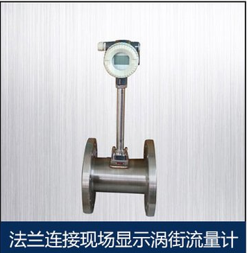 沼氣渦街流量計(jì)