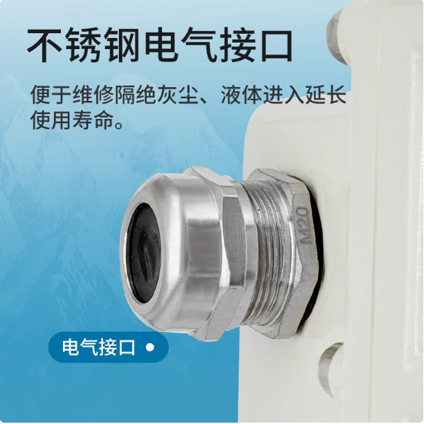 LLQ氣體羅茨腰輪流量計