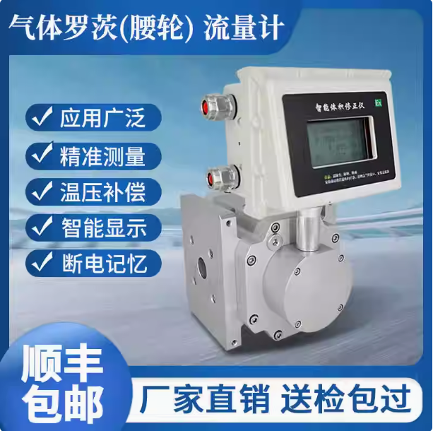 LLQ-80氣體羅茨腰輪流量計...