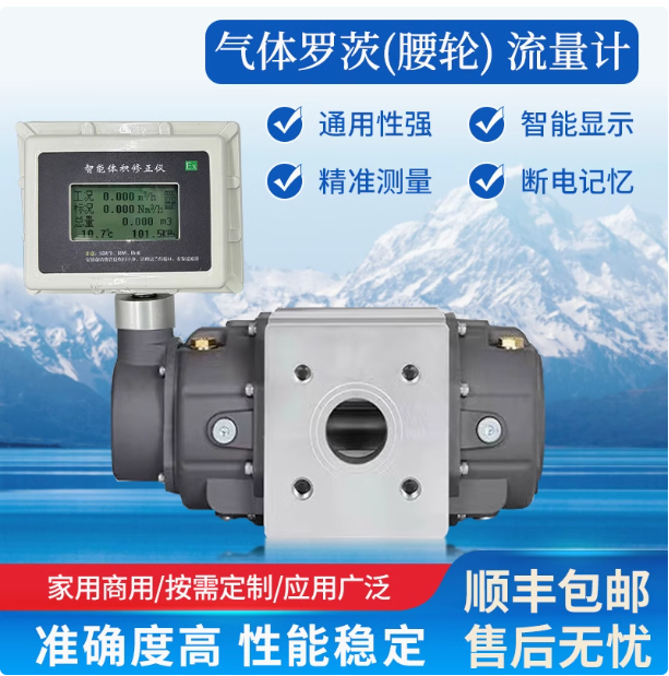 LLQ-150氣體羅茨腰輪流量計...